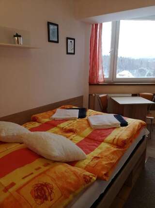 Отели типа «постель и завтрак» Willa Mona Шклярска-Поремба Двухместный номер с 1 кроватью-6